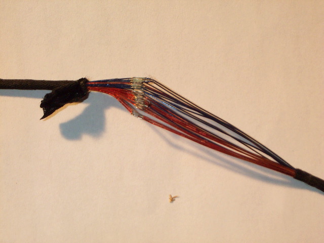 DCP_2920.JPG